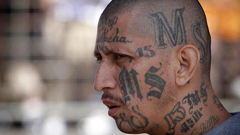 DHS reveals dozens of MS-13, other gang members released by ‘sanctuary’ policies