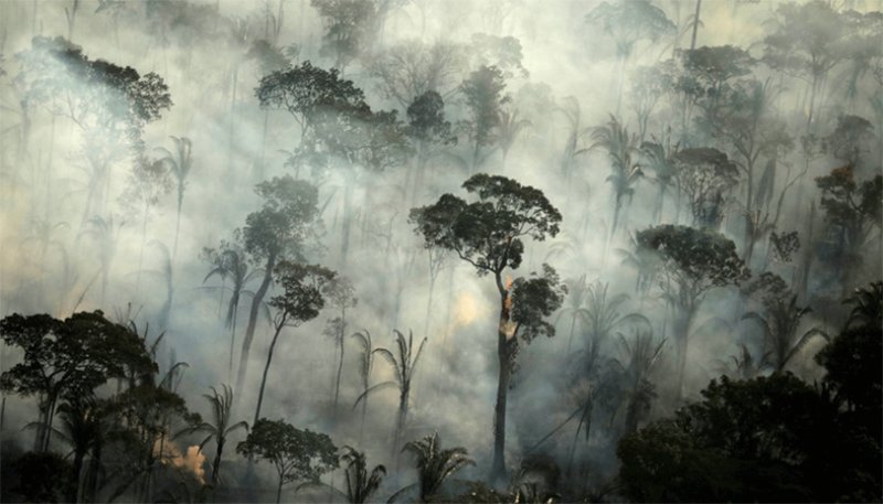 Deforestation in Brazil’s Amazon surges to 12-year high