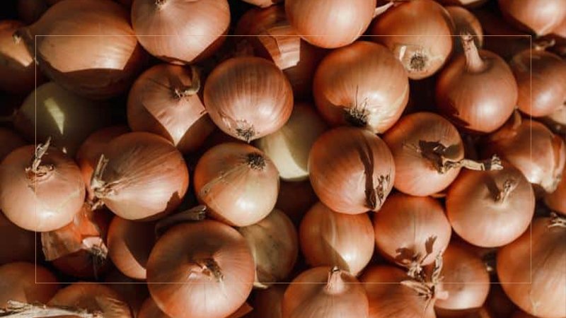 India lifts ban on onion export from Jan 1