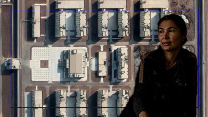 US ‘disturbed’ by reports of rape of Muslims in China camps