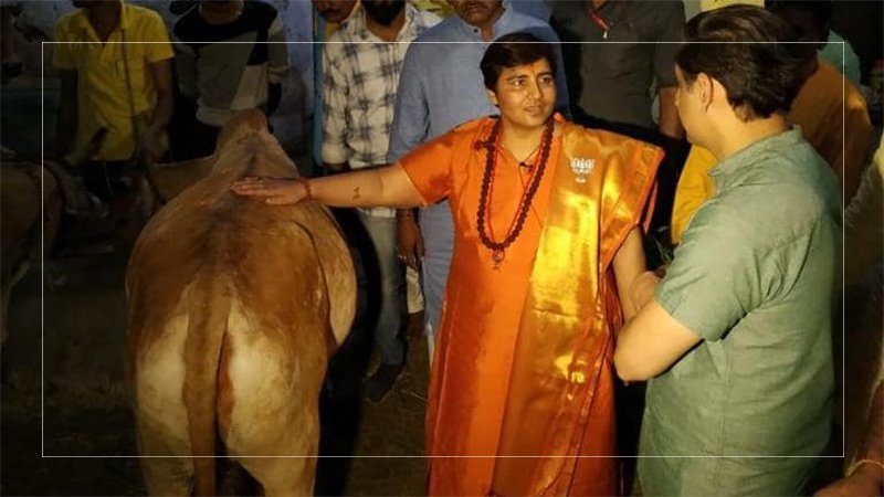 ‘I Drink Cow Urine Every Day, So Don’t Have Covid’: BJP MP Pragya Thakur