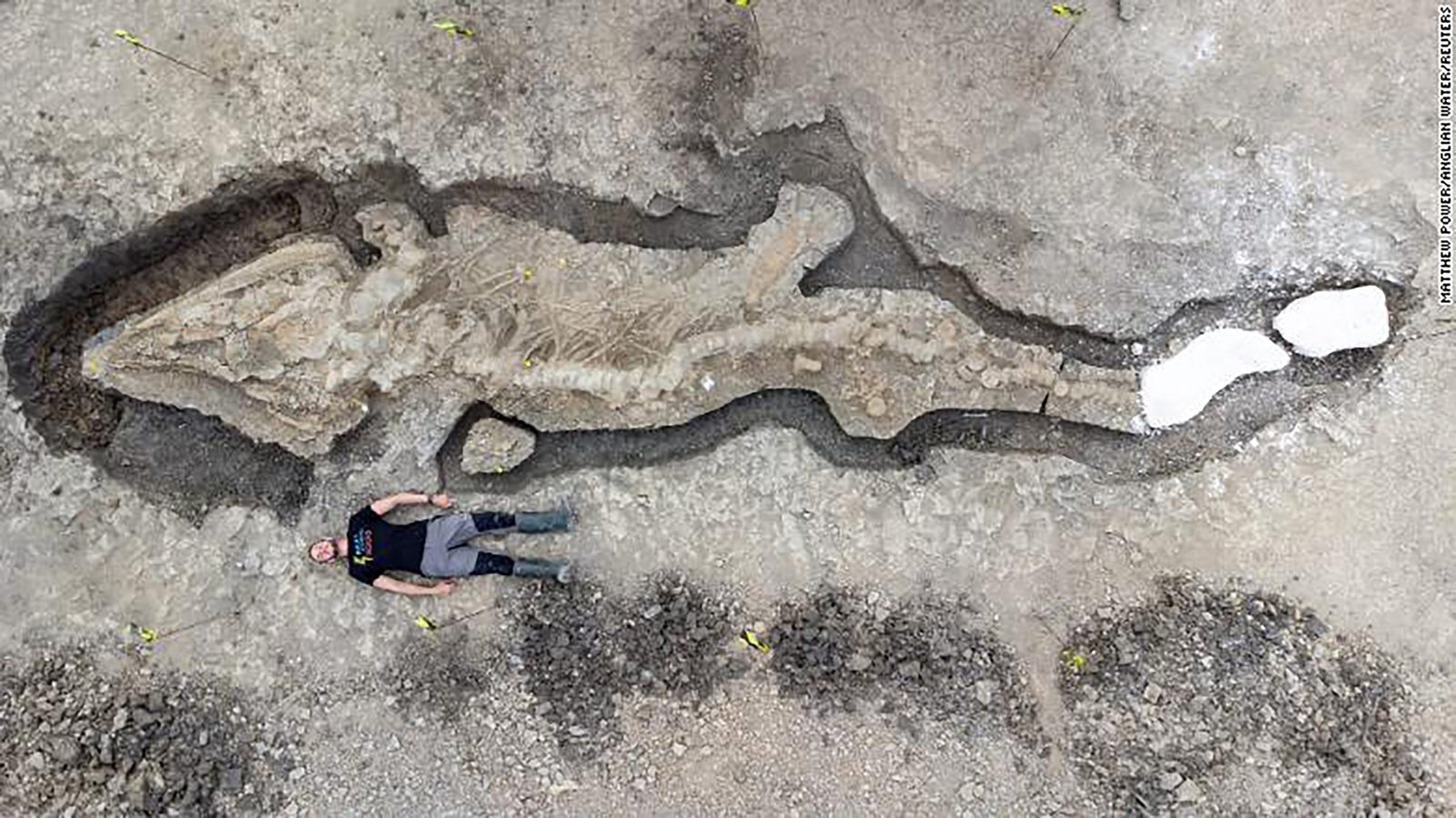 180 million-year-old Giant ‘sea dragon’ fossil found in UK reservoir