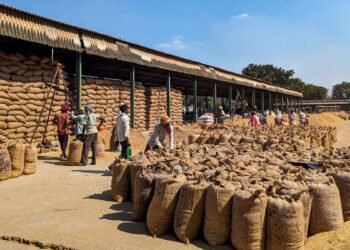 India allows exports of essential goods to Maldives