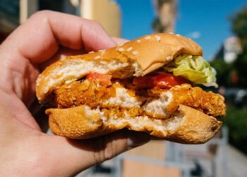 McDonald’s loses chicken ‘Big Mac’ trademark battle