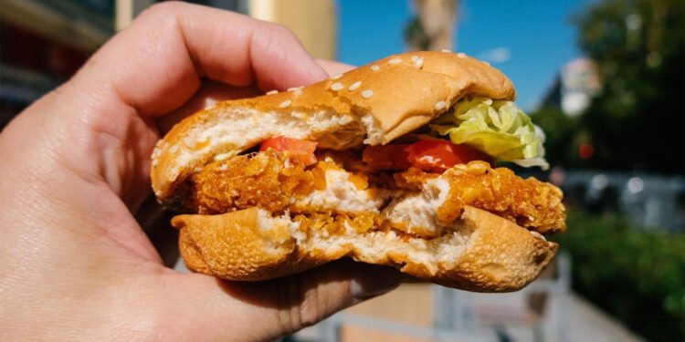 McDonald’s loses chicken ‘Big Mac’ trademark battle