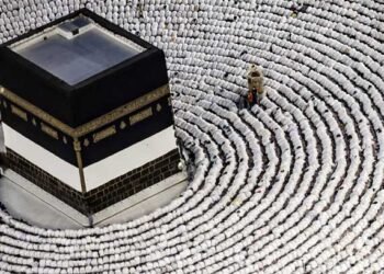 Muslim pilgrims pray on Mount Arafat in hajj climax