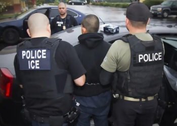 538 undocumented immigrants arrested in US: White House